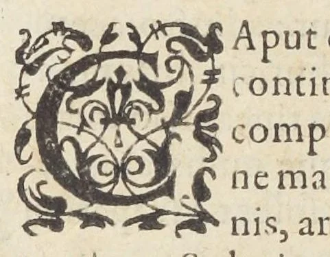 An illustration from Jacobi Hollerii stempani, medici parsiensis celeberrimi, De morbis internis, lib. II. Illustrati doctißimis ejusdem authoris schollis & observationibus non antea excußis : deinde Ludovici Dureti professoris Regii in eundem adversariis : & Anthonii Valetii doctoris medici exercitationibus lucu lentis. Ejusdem Hollerii De febribus. [De] peste. De rhemediis kata topous in Galeni libros. [De] materia chirurgica. Quæ omnia Ant. Valet. medici opera auctiora & castigatiora in lucem prodeunt., 1577, leaf 22