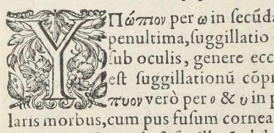 An illustration from Jacobi Hollerii stempani, medici parsiensis celeberrimi, De morbis internis, lib. II. Illustrati doctißimis ejusdem authoris schollis & observationibus non antea excußis : deinde Ludovici Dureti professoris Regii in eundem adversariis : & Anthonii Valetii doctoris medici exercitationibus lucu lentis. Ejusdem Hollerii De febribus. [De] peste. De rhemediis kata topous in Galeni libros. [De] materia chirurgica. Quæ omnia Ant. Valet. medici opera auctiora & castigatiora in lucem prodeunt., 1577, leaf 70
