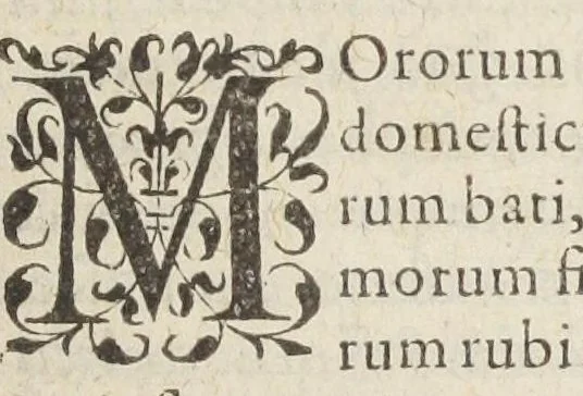 An illustration from Jacobi Hollerii stempani, medici parsiensis celeberrimi, De morbis internis, lib. II. Illustrati doctißimis ejusdem authoris schollis & observationibus non antea excußis : deinde Ludovici Dureti professoris Regii in eundem adversariis : & Anthonii Valetii doctoris medici exercitationibus lucu lentis. Ejusdem Hollerii De febribus. [De] peste. De rhemediis kata topous in Galeni libros. [De] materia chirurgica. Quæ omnia Ant. Valet. medici opera auctiora & castigatiora in lucem prodeunt., 1577, leaf 85