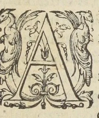 An illustration from Jacobi Hollerii stempani, medici parsiensis celeberrimi, De morbis internis, lib. II. Illustrati doctißimis ejusdem authoris schollis & observationibus non antea excußis : deinde Ludovici Dureti professoris Regii in eundem adversariis : & Anthonii Valetii doctoris medici exercitationibus lucu lentis. Ejusdem Hollerii De febribus. [De] peste. De rhemediis kata topous in Galeni libros. [De] materia chirurgica. Quæ omnia Ant. Valet. medici opera auctiora & castigatiora in lucem prodeunt., 1577, leaf 9