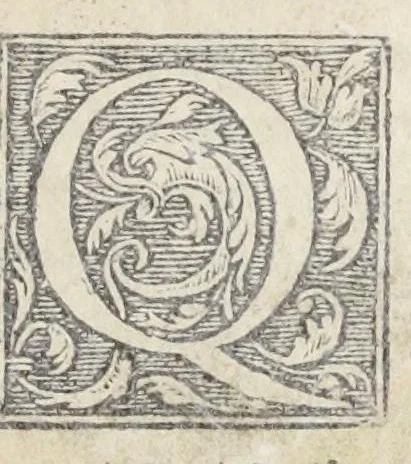 An illustration from Pedanii Dioscoridis Anazarbei, De medicinali materia, Libri sex Joanne Ruellio Suessionensi interprete. Cuilibet capiti additæ annotationes, eruditæ & compendiariæ, è selectiori medicorum promptuario., 1550, leaf 37