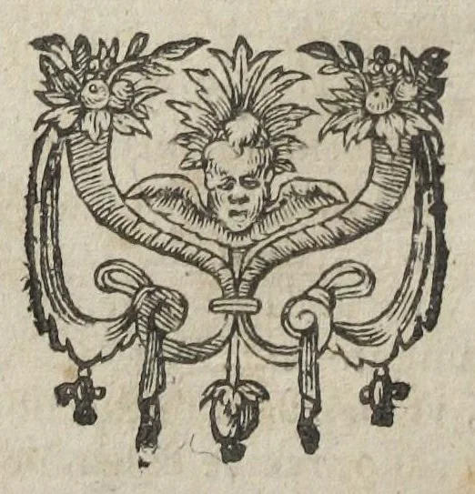 An illustration from Joannis Fernelii Neotericorum principis, et Franciæ archiatri universa medicina : a doctissimo et experientissimo medico diligenter recognita, & ab innumeris mendis & erroribus, quibus priores scatebant editiones repurgata, collatis invicem vetustissimis & optimis exemplaribus. Editio emendatissima. Addita sunt ejusdem Fernelii consilia : & Guliel. Plantii scholia in pharmacopœam seu librum therapeutices septimum., 1627, leaf 1152