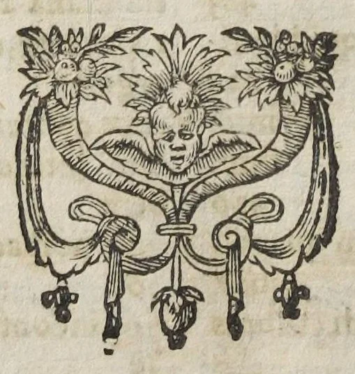 An illustration from Joannis Fernelii Neotericorum principis, et Franciæ archiatri universa medicina : a doctissimo et experientissimo medico diligenter recognita, & ab innumeris mendis & erroribus, quibus priores scatebant editiones repurgata, collatis invicem vetustissimis & optimis exemplaribus. Editio emendatissima. Addita sunt ejusdem Fernelii consilia : & Guliel. Plantii scholia in pharmacopœam seu librum therapeutices septimum., 1627, leaf 668