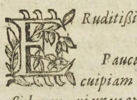 An illustration from Medici officiosi Opera, viro nobili Philib. Guiberto, doct. med. Paris. Authore ; centies antehac gallice edita, nunc primum latinè reddita., 1649, leaf 557