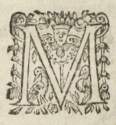 An illustration from Medici officiosi Opera, viro nobili Philib. Guiberto, doct. med. Paris. Authore ; centies antehac gallice edita, nunc primum latinè reddita., 1649, leaf 716