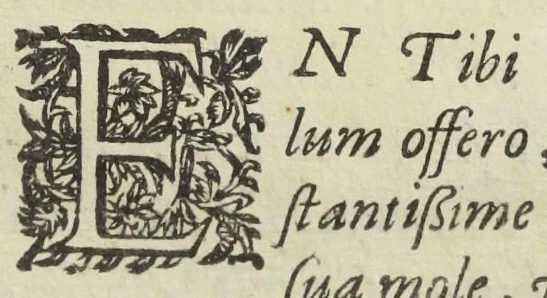 An illustration from Medici officiosi Opera, viro nobili Philib. Guiberto, doct. med. Paris. Authore ; centies antehac gallice edita, nunc primum latinè reddita., 1649, leaf 9