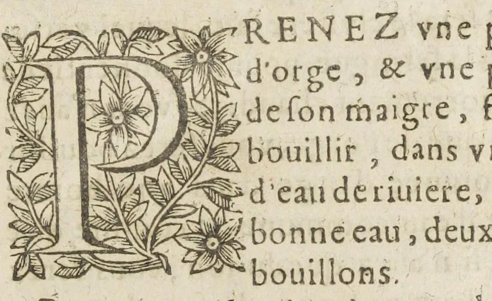 An illustration from Toutes les oeuvres charitables de Philbert Guybert a çavoir le médecin charitable ; le prix et valeur des medicamens ; l'apothicaire charitable ; le choix des médicamens ; le traité du séné ; la manière de faire toutes sortes de gelées ; la manière de faire div. confitures ; la conservat. de santé ; le traité de la saignée ; la méthode agréable et facile pour se purger doucement et sans aucun dégoust avec les singuliers préservatifs la peste, La manière d'embaumer les corps morts. Revuës, corrigees & augmentees en cette derniere edition, par l'autheur., 1648, leaf 13