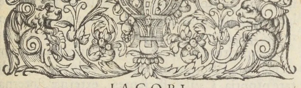 An illustration from Jacobi Hollerii stempani, medici parsiensis celeberrimi, De morbis internis, lib. II. Illustrati doctißimis ejusdem authoris schollis & observationibus non antea excußis : deinde Ludovici Dureti professoris Regii in eundem adversariis : & Anthonii Valetii doctoris medici exercitationibus lucu lentis. Ejusdem Hollerii De febribus. [De] peste. De rhemediis kata topous in Galeni libros. [De] materia chirurgica. Quæ omnia Ant. Valet. medici opera auctiora & castigatiora in lucem prodeunt., 1577, leaf 39