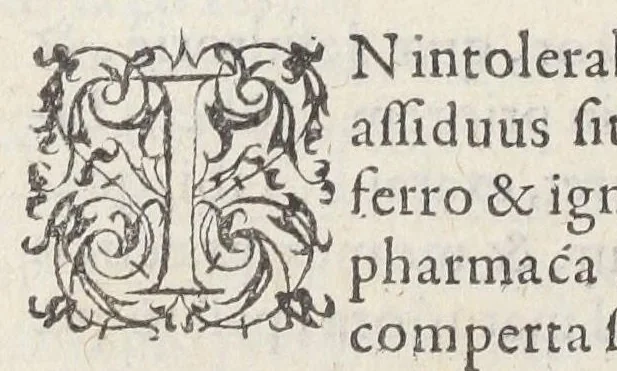 An illustration from Jacobi Hollerii stempani, medici parsiensis celeberrimi, De morbis internis, lib. II. Illustrati doctißimis ejusdem authoris schollis & observationibus non antea excußis : deinde Ludovici Dureti professoris Regii in eundem adversariis : & Anthonii Valetii doctoris medici exercitationibus lucu lentis. Ejusdem Hollerii De febribus. [De] peste. De rhemediis kata topous in Galeni libros. [De] materia chirurgica. Quæ omnia Ant. Valet. medici opera auctiora & castigatiora in lucem prodeunt., 1577, leaf 610