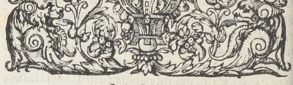 An illustration from Jacobi Hollerii stempani, medici parsiensis celeberrimi, De morbis internis, lib. II. Illustrati doctißimis ejusdem authoris schollis & observationibus non antea excußis : deinde Ludovici Dureti professoris Regii in eundem adversariis : & Anthonii Valetii doctoris medici exercitationibus lucu lentis. Ejusdem Hollerii De febribus. [De] peste. De rhemediis kata topous in Galeni libros. [De] materia chirurgica. Quæ omnia Ant. Valet. medici opera auctiora & castigatiora in lucem prodeunt., 1577, leaf 770