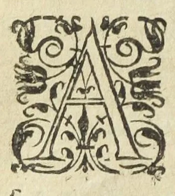 An illustration from Jos. Quercetani doct. medicique regii. Ad veritatem hermeticæ medicinæ ex Hippocratis veterumque decretis ac therapeusi : necnon vivæ rerum anatomiæ exegesi ipsiusque naturæ luce stabiliendam, adversus cujusdam anonymi phantasmata responsio. [Suivi de :] Jos. Quercetani doct. medicique regii. Ad veritatem hermeticæ medicinæ, ex Hippocratis etiam veterumque decretis ac Therapeusi propugnandam. Adversus cujusdam anonymi phantasmata dilucida responsio. Tractatus secundus., 1604, leaf 165