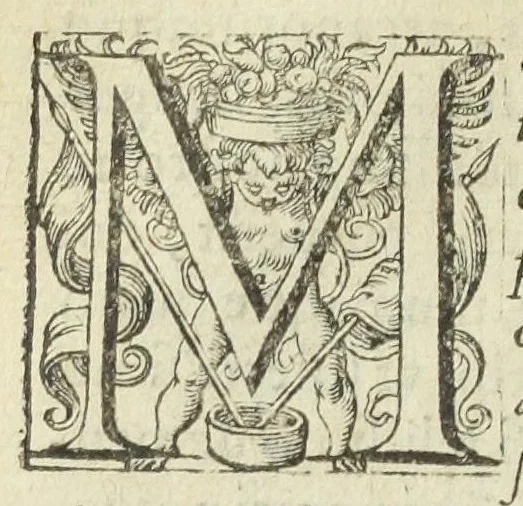 An illustration from Jos. Quercetani doct. medicique regii. Ad veritatem hermeticæ medicinæ ex Hippocratis veterumque decretis ac therapeusi : necnon vivæ rerum anatomiæ exegesi ipsiusque naturæ luce stabiliendam, adversus cujusdam anonymi phantasmata responsio. [Suivi de :] Jos. Quercetani doct. medicique regii. Ad veritatem hermeticæ medicinæ, ex Hippocratis etiam veterumque decretis ac Therapeusi propugnandam. Adversus cujusdam anonymi phantasmata dilucida responsio. Tractatus secundus., 1604, leaf 5