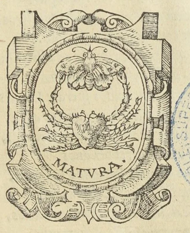 An illustration from Pratica medicinalis Leonelli Faventini de Victoriis. Cum scholiis Joannis Kuefneri., 1546, leaf 0