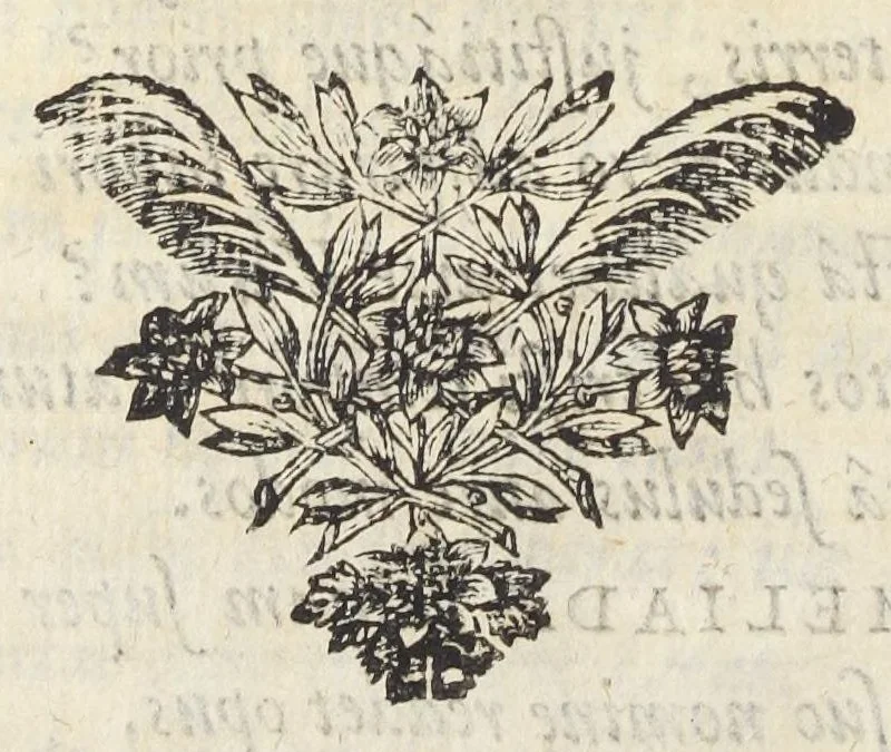 An illustration from Joan. Bapt. Du Hamel De meteoris et fossilibus libri duo. In priore libro mixta imperfecta, quæque in sublimi aëre vel gignuntur, vel apparent, fusè pertractantur. Posterior liber mixta perfecta complectitur ; ubi salium, bituminum, lapidum, gemmarum, & metallorum naturæ, causæ, & usus inquiruntur., 1660, leaf 22