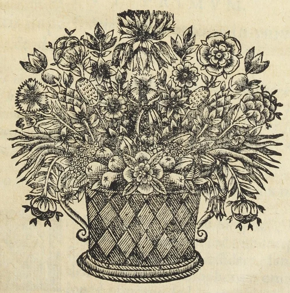 An illustration from Joan. Bapt. Du Hamel De meteoris et fossilibus libri duo. In priore libro mixta imperfecta, quæque in sublimi aëre vel gignuntur, vel apparent, fusè pertractantur. Posterior liber mixta perfecta complectitur ; ubi salium, bituminum, lapidum, gemmarum, & metallorum naturæ, causæ, & usus inquiruntur., 1660, leaf 31