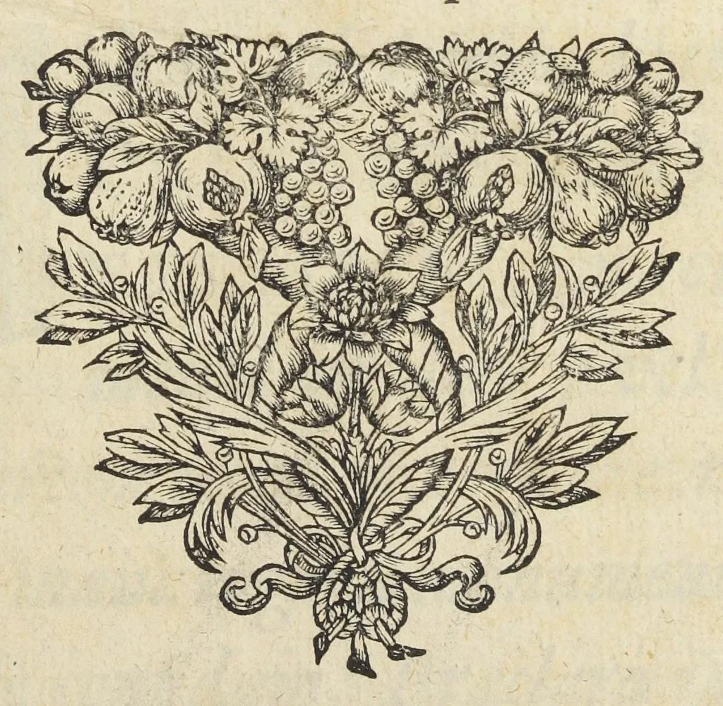 An illustration from Joan. Bapt. Du Hamel De meteoris et fossilibus libri duo. In priore libro mixta imperfecta, quæque in sublimi aëre vel gignuntur, vel apparent, fusè pertractantur. Posterior liber mixta perfecta complectitur ; ubi salium, bituminum, lapidum, gemmarum, & metallorum naturæ, causæ, & usus inquiruntur., 1660, leaf 5