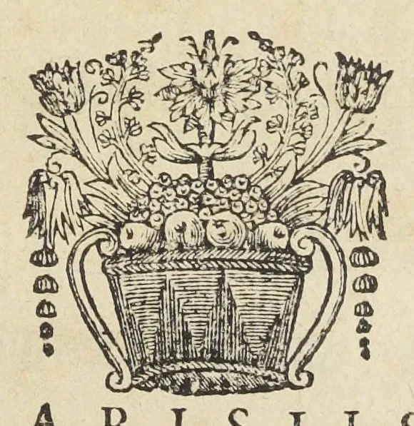 An illustration from Joan. Bapt. Du Hamel De meteoris et fossilibus libri duo. In priore libro mixta imperfecta, quæque in sublimi aëre vel gignuntur, vel apparent, fusè pertractantur. Posterior liber mixta perfecta complectitur ; ubi salium, bituminum, lapidum, gemmarum, & metallorum naturæ, causæ, & usus inquiruntur., 1660, leaf 0