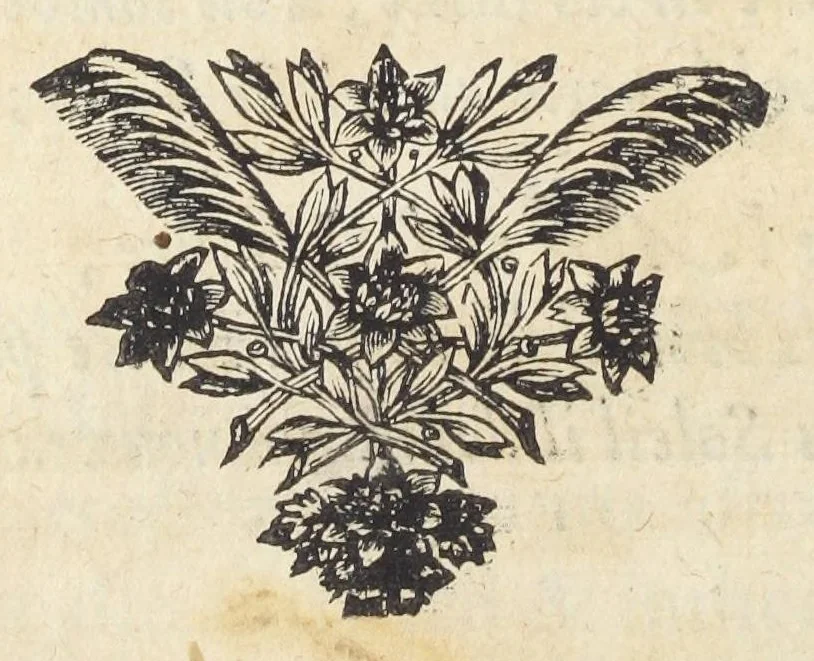 An illustration from Joan. Bapt. Du Hamel De meteoris et fossilibus libri duo. In priore libro mixta imperfecta, quæque in sublimi aëre vel gignuntur, vel apparent, fusè pertractantur. Posterior liber mixta perfecta complectitur ; ubi salium, bituminum, lapidum, gemmarum, & metallorum naturæ, causæ, & usus inquiruntur., 1660, leaf 15