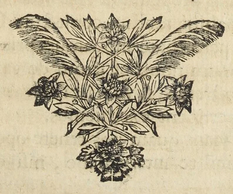 An illustration from Joan. Bapt. Du Hamel De meteoris et fossilibus libri duo. In priore libro mixta imperfecta, quæque in sublimi aëre vel gignuntur, vel apparent, fusè pertractantur. Posterior liber mixta perfecta complectitur ; ubi salium, bituminum, lapidum, gemmarum, & metallorum naturæ, causæ, & usus inquiruntur., 1660, leaf 84