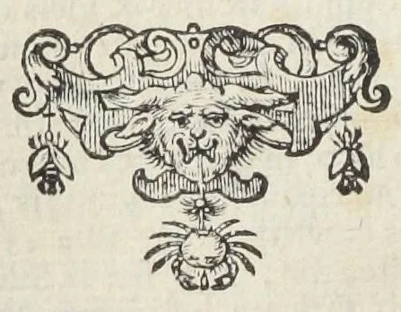 An illustration from Joh. Jonstoni Thaumatographia naturalis, in decem classes distincta, in quibus admiranda I. Coeli. II. Elementorum. III. Meteororum. IV. Fossilium. V. Plantarum. VI. Avium. VII. Quadrupedum. VIII. Exanguium. IX. Piscium. X. Hominis, 1632, leaf 134