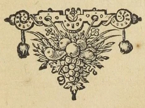 An illustration from Joh. Jonstoni Thaumatographia naturalis, in decem classes distincta, in quibus admiranda I. Coeli. II. Elementorum. III. Meteororum. IV. Fossilium. V. Plantarum. VI. Avium. VII. Quadrupedum. VIII. Exanguium. IX. Piscium. X. Hominis, 1632, leaf 349