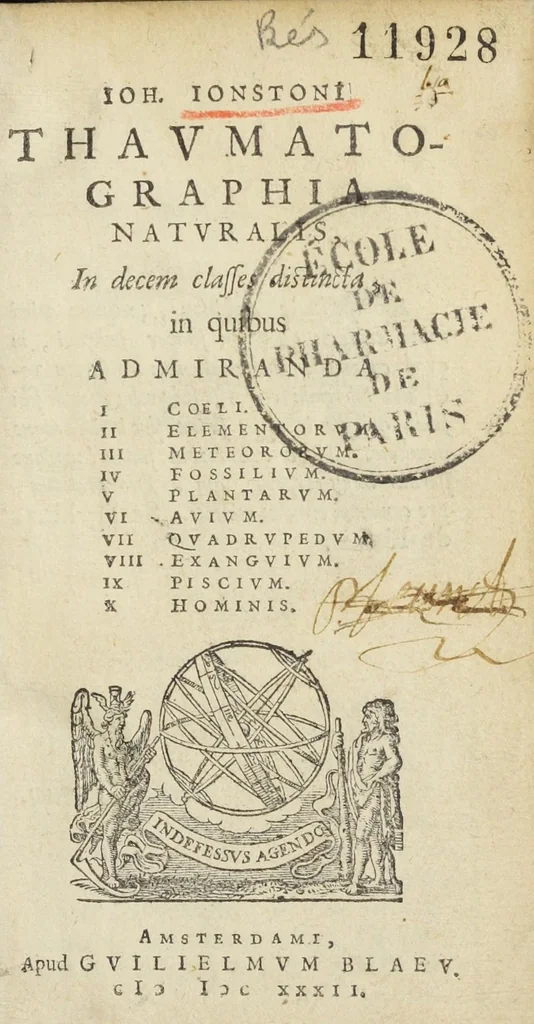 An illustration from Joh. Jonstoni Thaumatographia naturalis, in decem classes distincta, in quibus admiranda I. Coeli. II. Elementorum. III. Meteororum. IV. Fossilium. V. Plantarum. VI. Avium. VII. Quadrupedum. VIII. Exanguium. IX. Piscium. X. Hominis, 1632, leaf 5