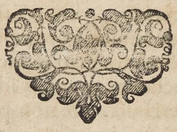 An illustration from Johannis Jonstoni, doctoris medici Notitia regni vegetabilis seu Plantarum à veteribus observatarum, cum synonymis Græcis & Latinis, obscurioribusq[ue] differentiis in suas classes redacta series., 1661, leaf 48