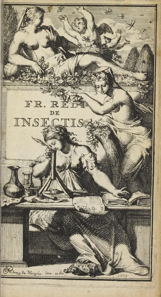 An illustration from Francisci Redi... experimenta circa generationem insectorum ad nobilissimum virum Carolum Dati., 1671, leaf 5