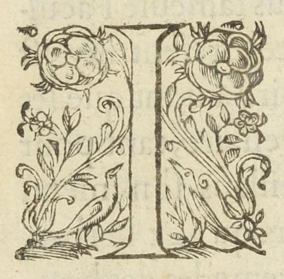 An illustration from Au Roy [à propos du Jardin des plantes], 1620, leaf 9