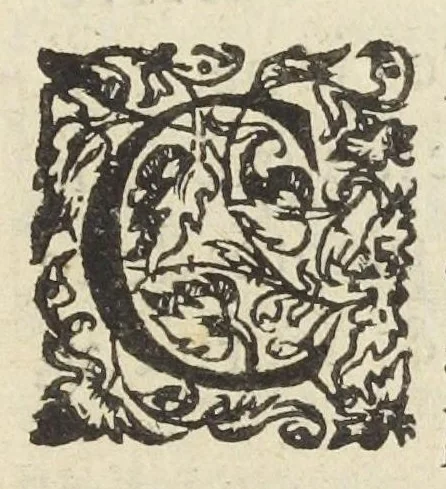 An illustration from Advis défensif du Jardin royal, des plantes medecinales à Paris., 1620, leaf 0