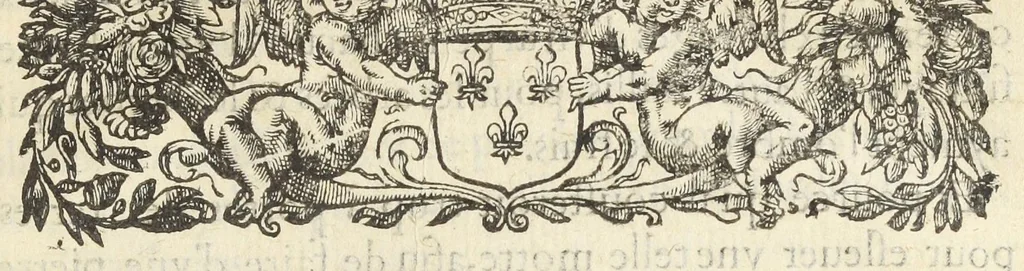 An illustration from Advis défensif du Jardin royal, des plantes medecinales à Paris., 1620, leaf 40