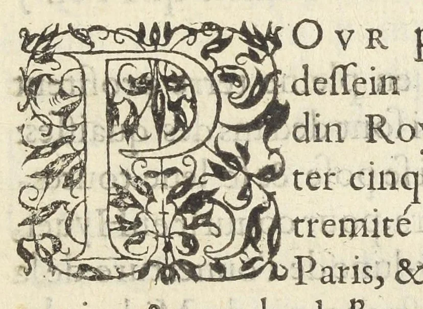An illustration from Advis défensif du Jardin royal, des plantes medecinales à Paris., 1620, leaf 40