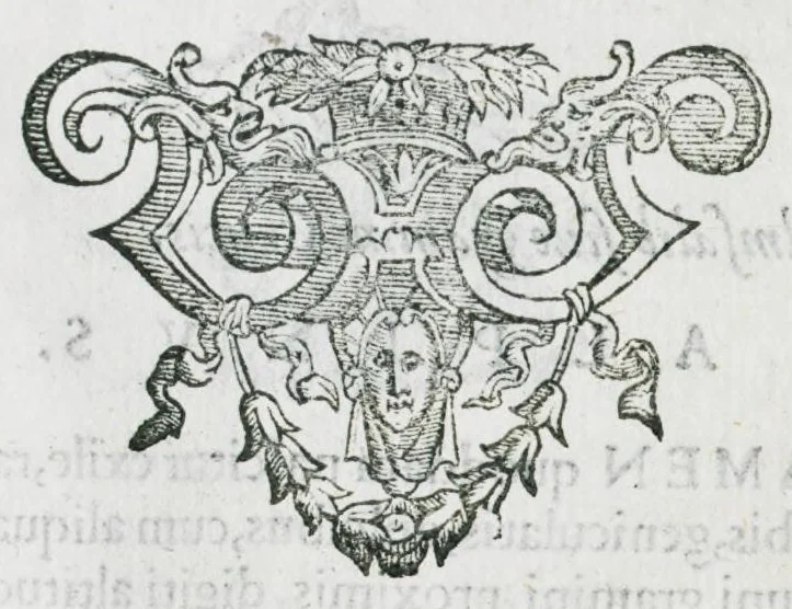 An illustration from Prosperi Alpini De plantis Aegypti liber. In quo non pauci, qui circa herbarum materiam irrepserunt, errores, deprehenduntur, quorum causa hactenus multa medicamenta ad usum medicine admodum expetenda, plerisque medicorum, non sine artis iactura, occulta, atque obsoleta iacuerunt... Accessit etiam liber de balsamo aliàs editus, 1592, leaf 116
