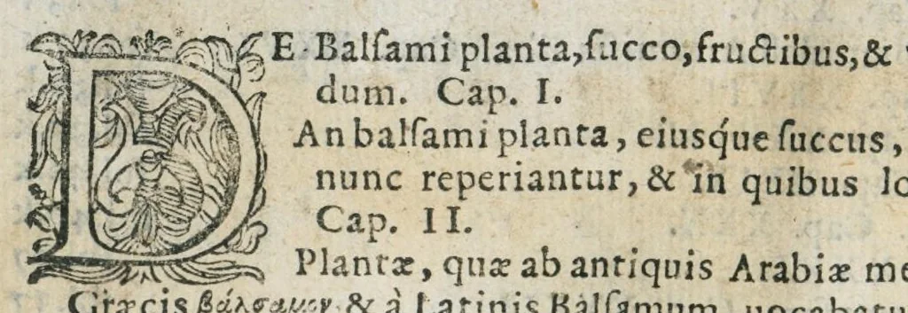 An illustration from Prosperi Alpini De plantis Aegypti liber. In quo non pauci, qui circa herbarum materiam irrepserunt, errores, deprehenduntur, quorum causa hactenus multa medicamenta ad usum medicine admodum expetenda, plerisque medicorum, non sine artis iactura, occulta, atque obsoleta iacuerunt... Accessit etiam liber de balsamo aliàs editus, 1592, leaf 14