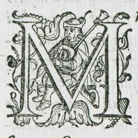 An illustration from Prosperi Alpini De plantis Aegypti liber. In quo non pauci, qui circa herbarum materiam irrepserunt, errores, deprehenduntur, quorum causa hactenus multa medicamenta ad usum medicine admodum expetenda, plerisque medicorum, non sine artis iactura, occulta, atque obsoleta iacuerunt... Accessit etiam liber de balsamo aliàs editus, 1592, leaf 144