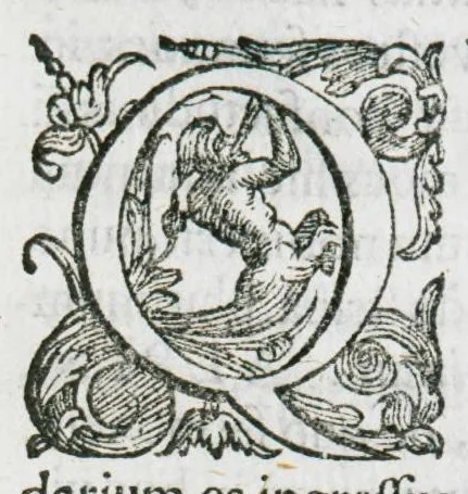 An illustration from Prosperi Alpini De plantis Aegypti liber. In quo non pauci, qui circa herbarum materiam irrepserunt, errores, deprehenduntur, quorum causa hactenus multa medicamenta ad usum medicine admodum expetenda, plerisque medicorum, non sine artis iactura, occulta, atque obsoleta iacuerunt... Accessit etiam liber de balsamo aliàs editus, 1592, leaf 145