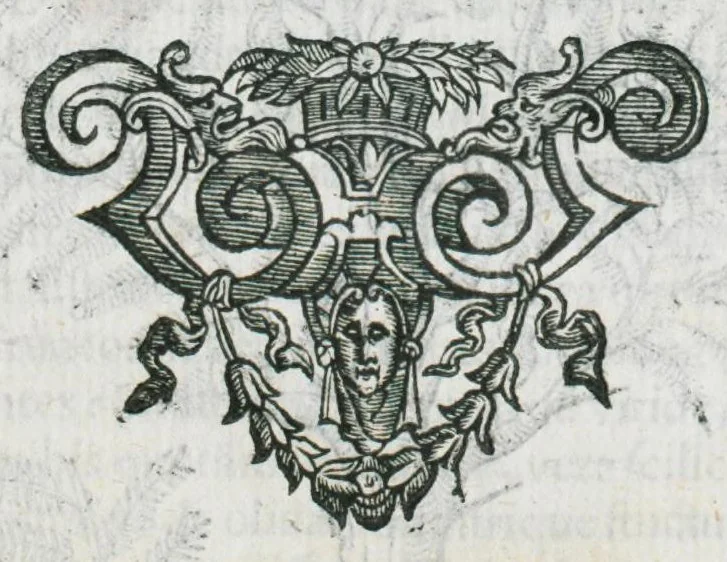 An illustration from Prosperi Alpini De plantis Aegypti liber. In quo non pauci, qui circa herbarum materiam irrepserunt, errores, deprehenduntur, quorum causa hactenus multa medicamenta ad usum medicine admodum expetenda, plerisque medicorum, non sine artis iactura, occulta, atque obsoleta iacuerunt... Accessit etiam liber de balsamo aliàs editus, 1592, leaf 25