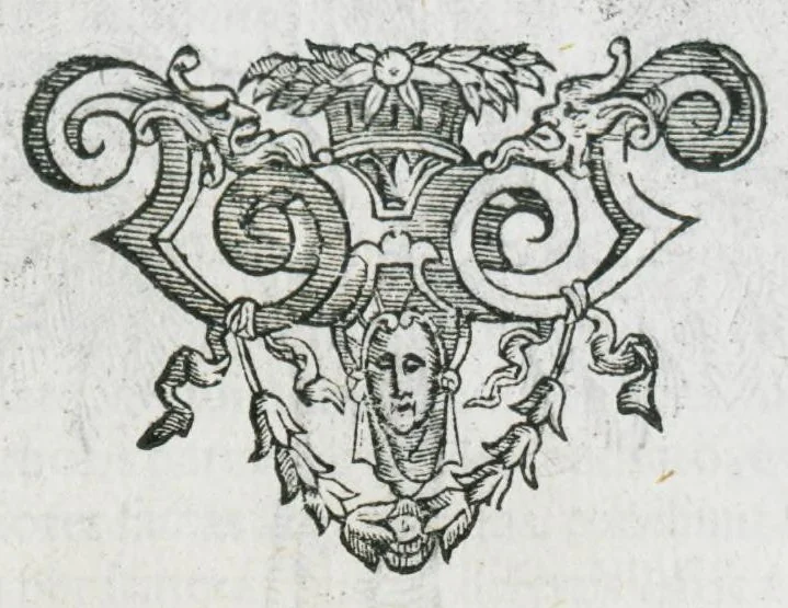 An illustration from Prosperi Alpini De plantis Aegypti liber. In quo non pauci, qui circa herbarum materiam irrepserunt, errores, deprehenduntur, quorum causa hactenus multa medicamenta ad usum medicine admodum expetenda, plerisque medicorum, non sine artis iactura, occulta, atque obsoleta iacuerunt... Accessit etiam liber de balsamo aliàs editus, 1592, leaf 41