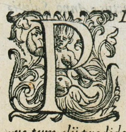 An illustration from Prosperi Alpini De plantis Aegypti liber. In quo non pauci, qui circa herbarum materiam irrepserunt, errores, deprehenduntur, quorum causa hactenus multa medicamenta ad usum medicine admodum expetenda, plerisque medicorum, non sine artis iactura, occulta, atque obsoleta iacuerunt... Accessit etiam liber de balsamo aliàs editus, 1592, leaf 9