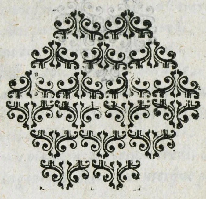 An illustration from Prosperi Alpini de Plantis Ægypti liber cum observationibus et notis Ioannis Veslingii mindani, equitis... Accessit Alpini de balsamo liber. Editio altera emendatior., 1640, leaf 227