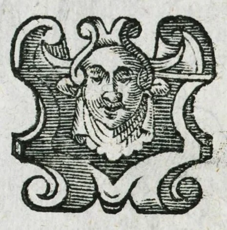 An illustration from Prosperi Alpini de Plantis Ægypti liber cum observationibus et notis Ioannis Veslingii mindani, equitis... Accessit Alpini de balsamo liber. Editio altera emendatior., 1640, leaf 267