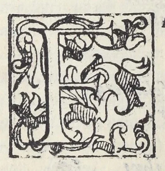 An illustration from Adriani Spigelii Bruxellensis philosophi ac med. pat. Isagoges in rem herbariam libri duo. Ad illustrissimam quae patavii est germanicam nationem., 1606, leaf 106
