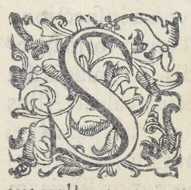 An illustration from Adriani Spigelii Bruxellensis philosophi ac med. pat. Isagoges in rem herbariam libri duo. Ad illustrissimam quae patavii est germanicam nationem., 1606, leaf 11