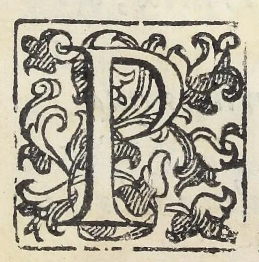 An illustration from Adriani Spigelii Bruxellensis philosophi ac med. pat. Isagoges in rem herbariam libri duo. Ad illustrissimam quae patavii est germanicam nationem., 1606, leaf 17