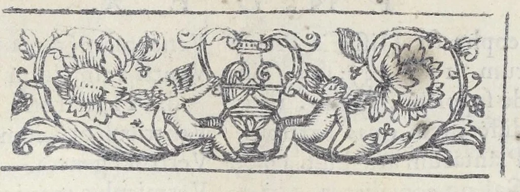 An illustration from Adriani Spigelii Bruxellensis philosophi ac med. pat. Isagoges in rem herbariam libri duo. Ad illustrissimam quae patavii est germanicam nationem., 1606, leaf 176