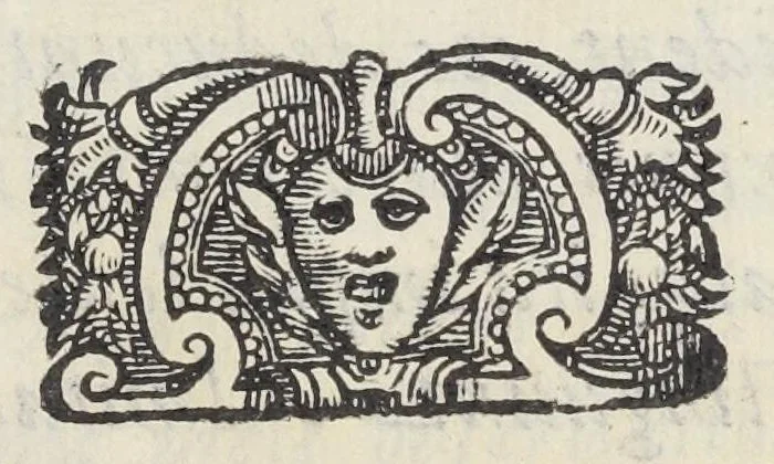 An illustration from Adriani Spigelii Bruxellensis philosophi ac med. pat. Isagoges in rem herbariam libri duo. Ad illustrissimam quae patavii est germanicam nationem., 1606, leaf 25