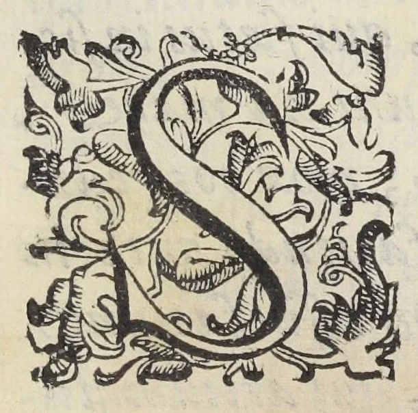 An illustration from Adriani Spigelii Bruxellensis philosophi ac med. pat. Isagoges in rem herbariam libri duo. Ad illustrissimam quae patavii est germanicam nationem., 1606, leaf 25