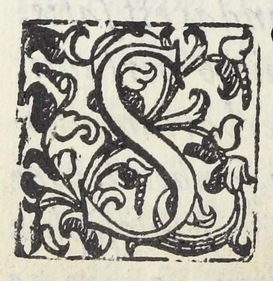 An illustration from Adriani Spigelii Bruxellensis philosophi ac med. pat. Isagoges in rem herbariam libri duo. Ad illustrissimam quae patavii est germanicam nationem., 1606, leaf 28