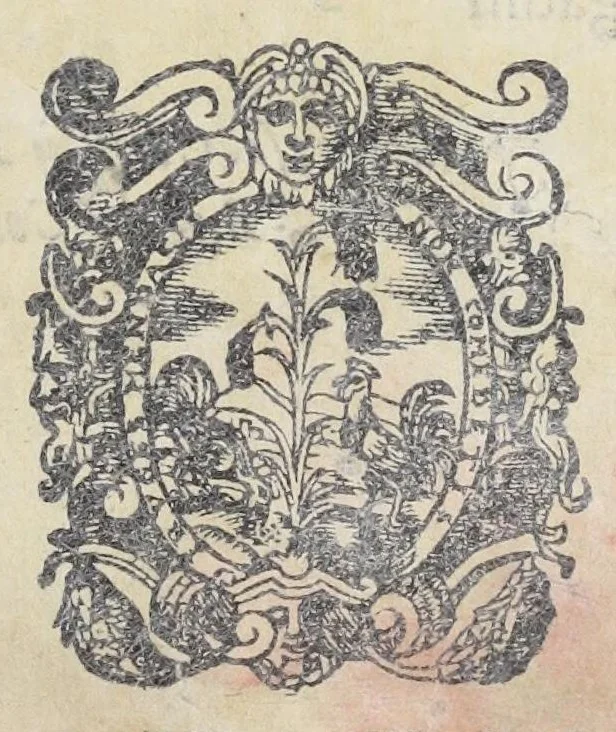 An illustration from Adriani Spigelii Bruxellensis philosophi ac med. pat. Isagoges in rem herbariam libri duo. Ad illustrissimam quae patavii est germanicam nationem., 1606, leaf 9