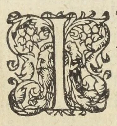 An illustration from Hortorum secreta, cultus, et auxilia, amœnæ voluptatis, & inenarabilis utilitatis abunde plena: rerúmque variarum accessione nunc primùm aucta & illustrata. Autore Antonio Mizaldo Monluciensi, medico., 1575, leaf 144